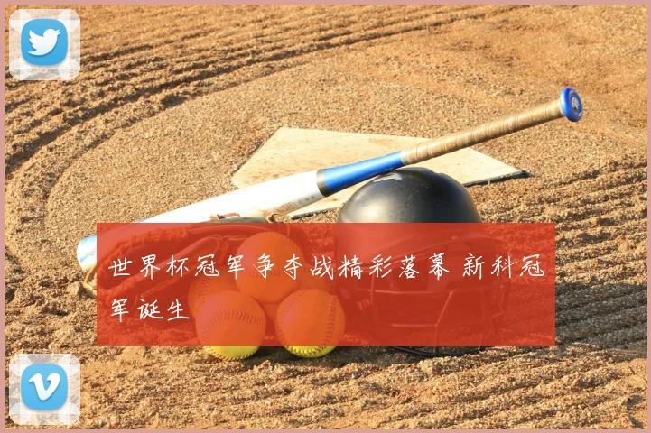 世界杯冠军争夺战精彩落幕 新科冠军诞生