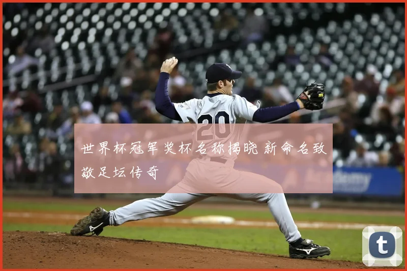 世界杯冠军奖杯名称揭晓 新命名致敬足坛传奇