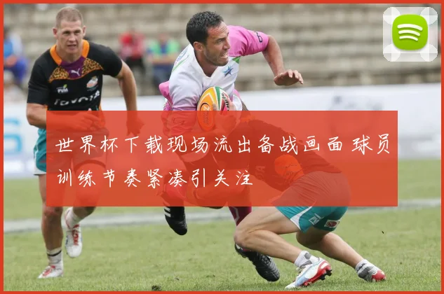 世界杯下载现场流出备战画面 球员训练节奏紧凑引关注