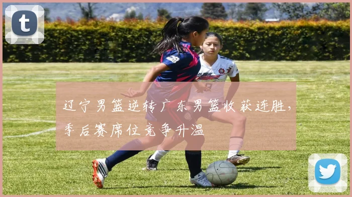 辽宁男篮逆转广东男篮收获连胜，季后赛席位竞争升温