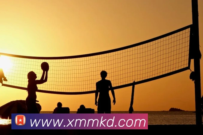 买球官方服务体系